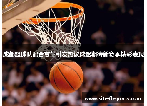 成都篮球队配合变革引发热议球迷期待新赛季精彩表现
