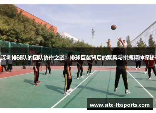 深圳排球队的团队协作之道：排球巨献背后的默契与拼搏精神探秘